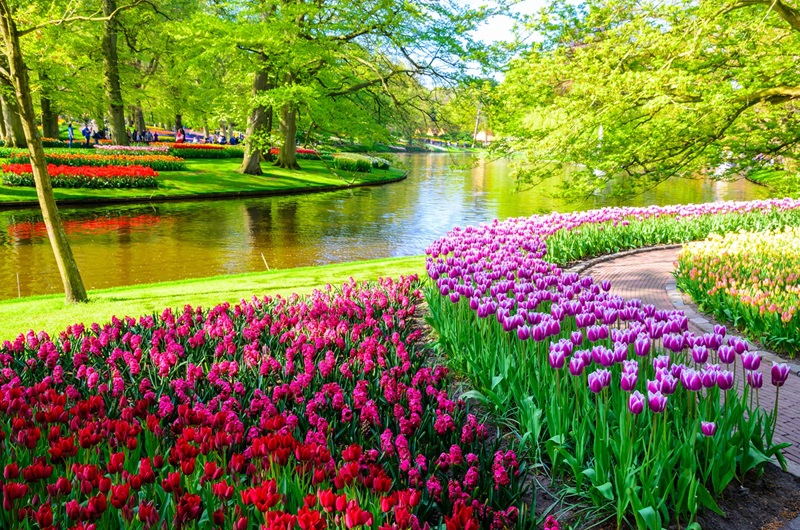 Keukenhof Gärten und Zaanse Schans Windmühlen Geführte Tagestour ab Amsterdam
