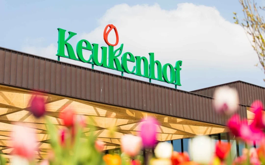Keukenhof, Zaanse Schans, Volendam, Käserei und Monnickendam